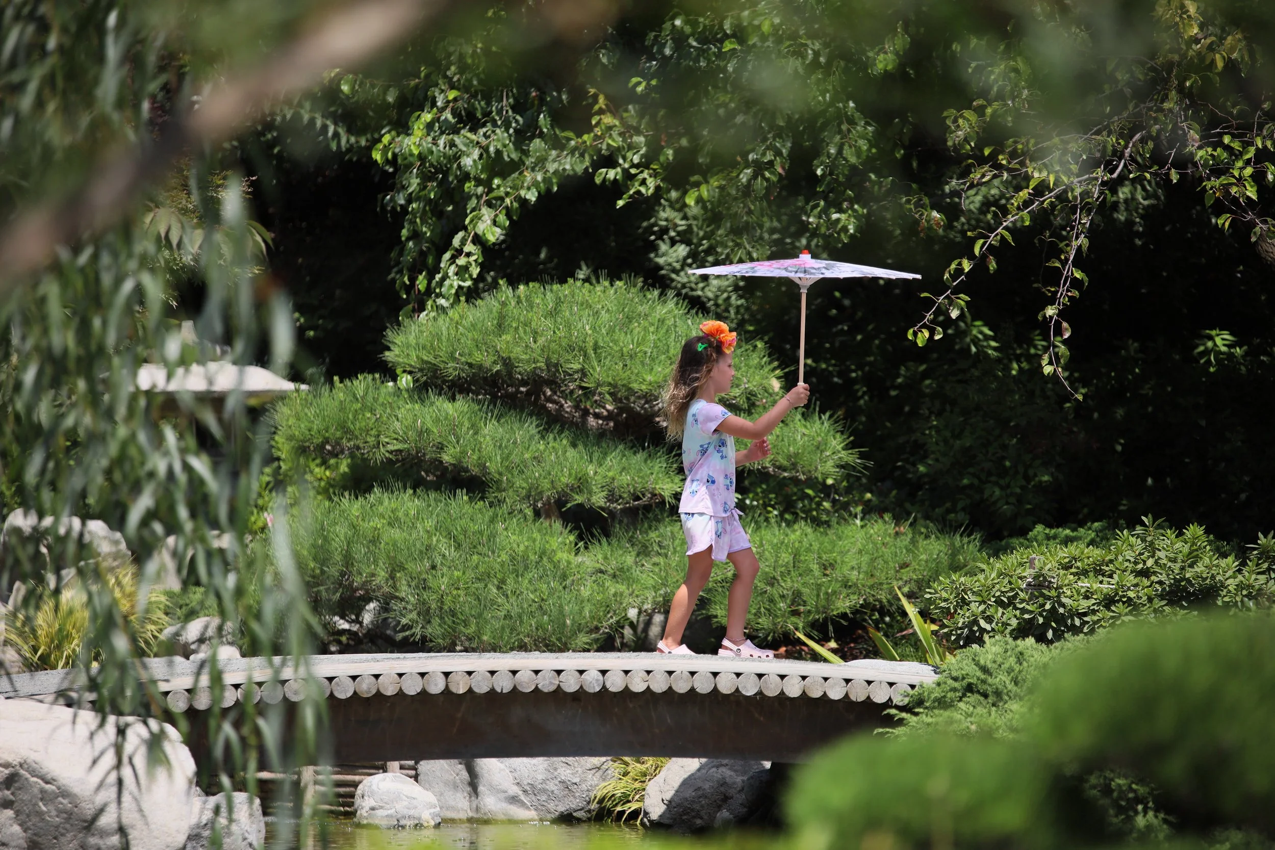 Toro Nagashi Festival — Japanese Friendship Garden